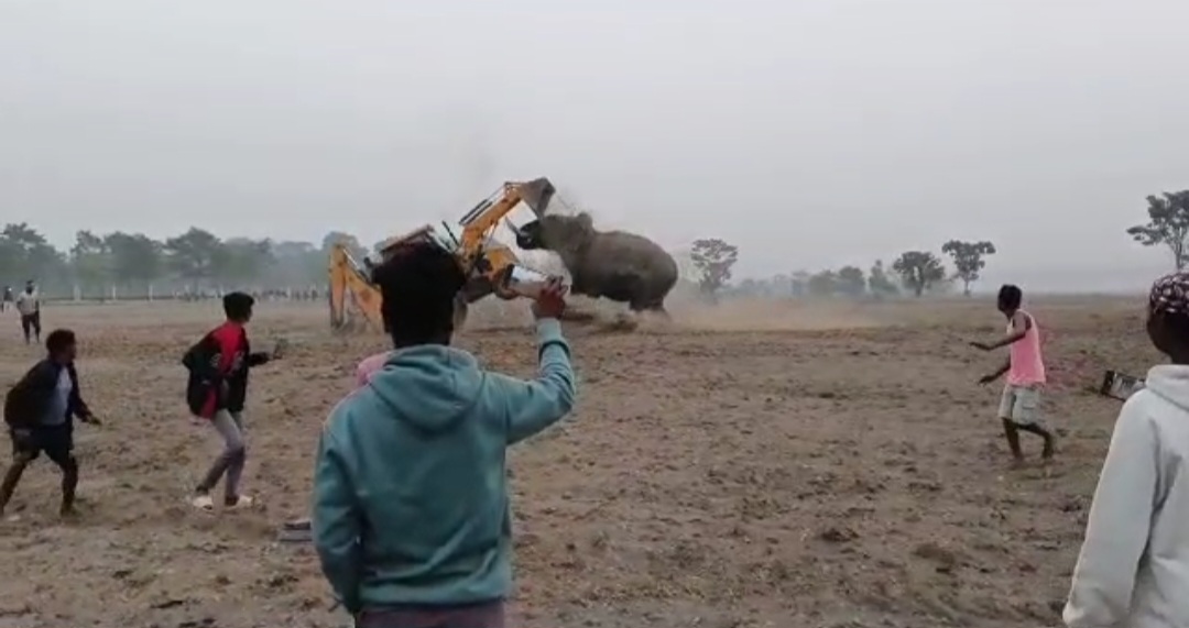 Screenshot_20250203_135359_WhatsApp