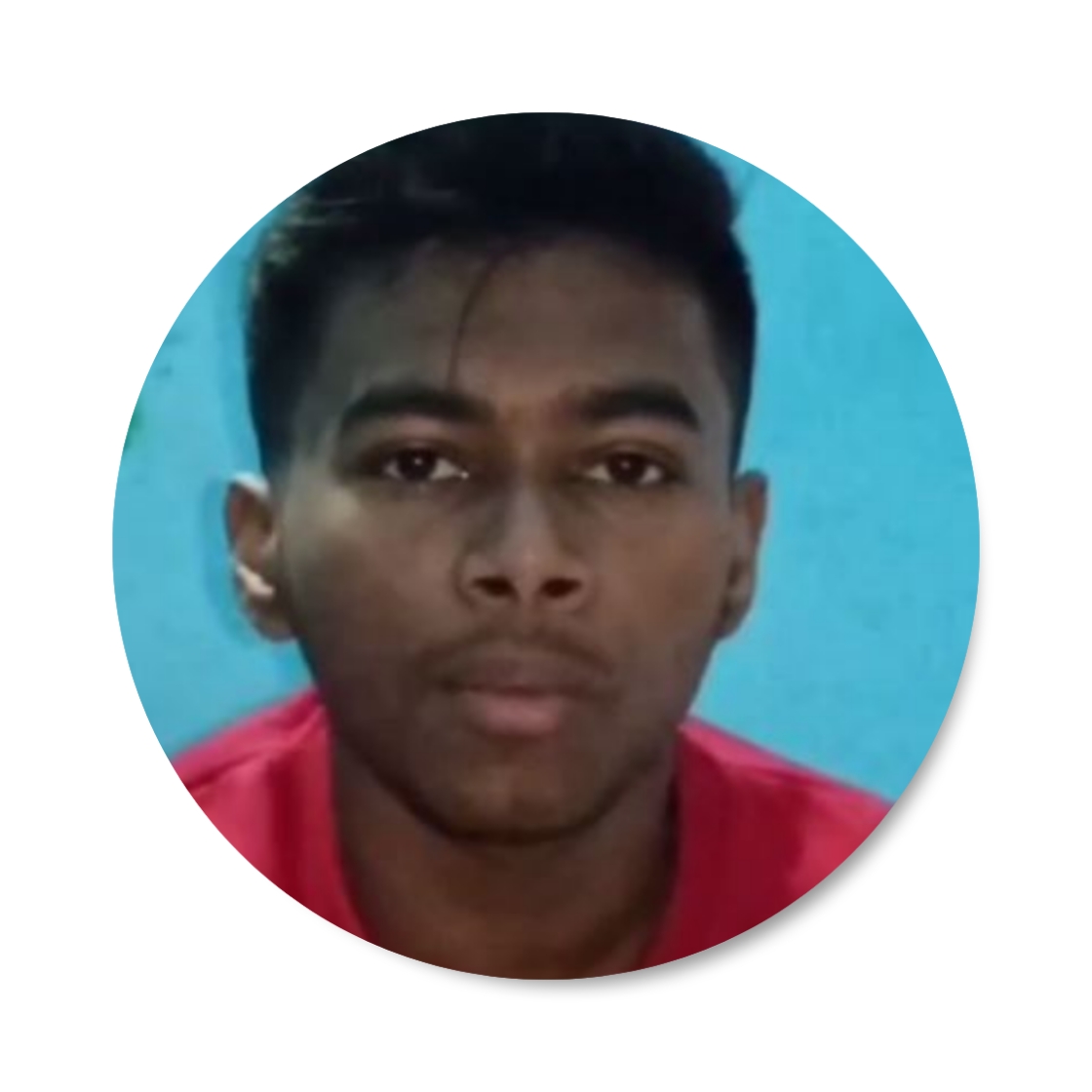 photocollage_202521320175839