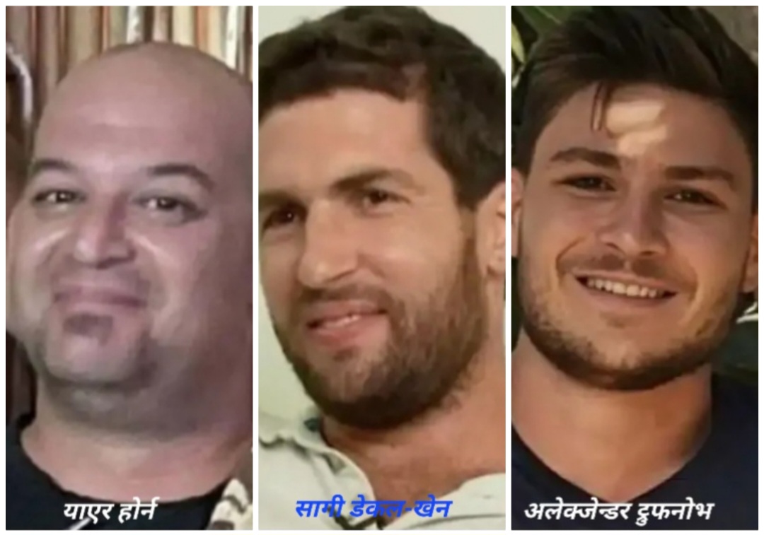 photocollage_202521516247550