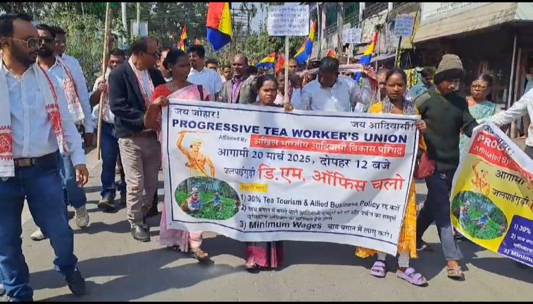 IMG-20250320-WA0113(1)