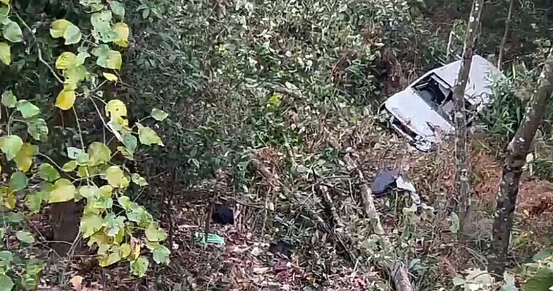 IMG-20250322-WA0222(1)