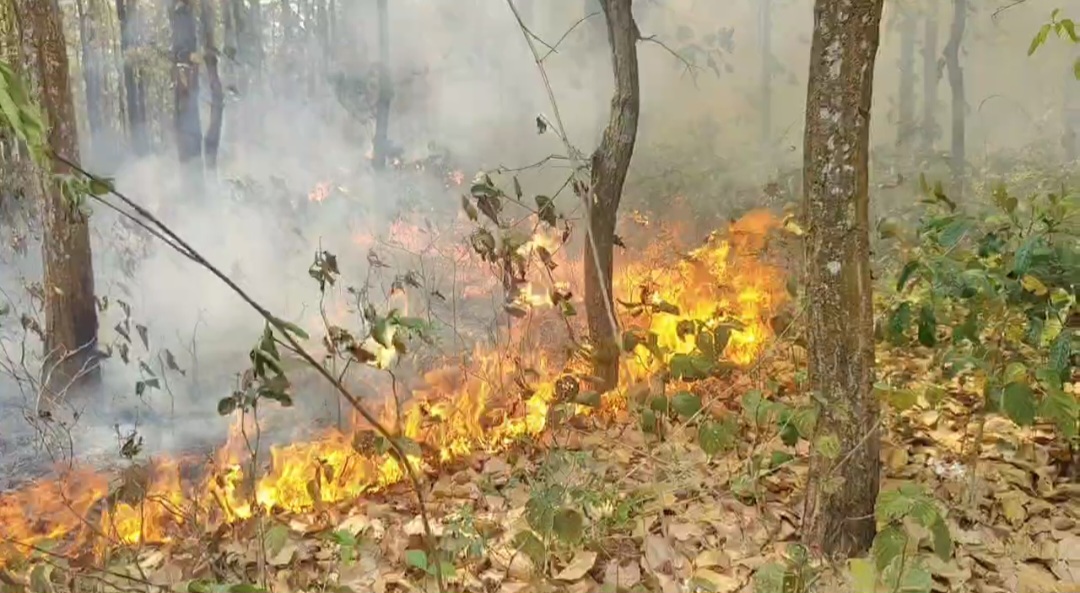 Screenshot_20250331_183139_WhatsApp