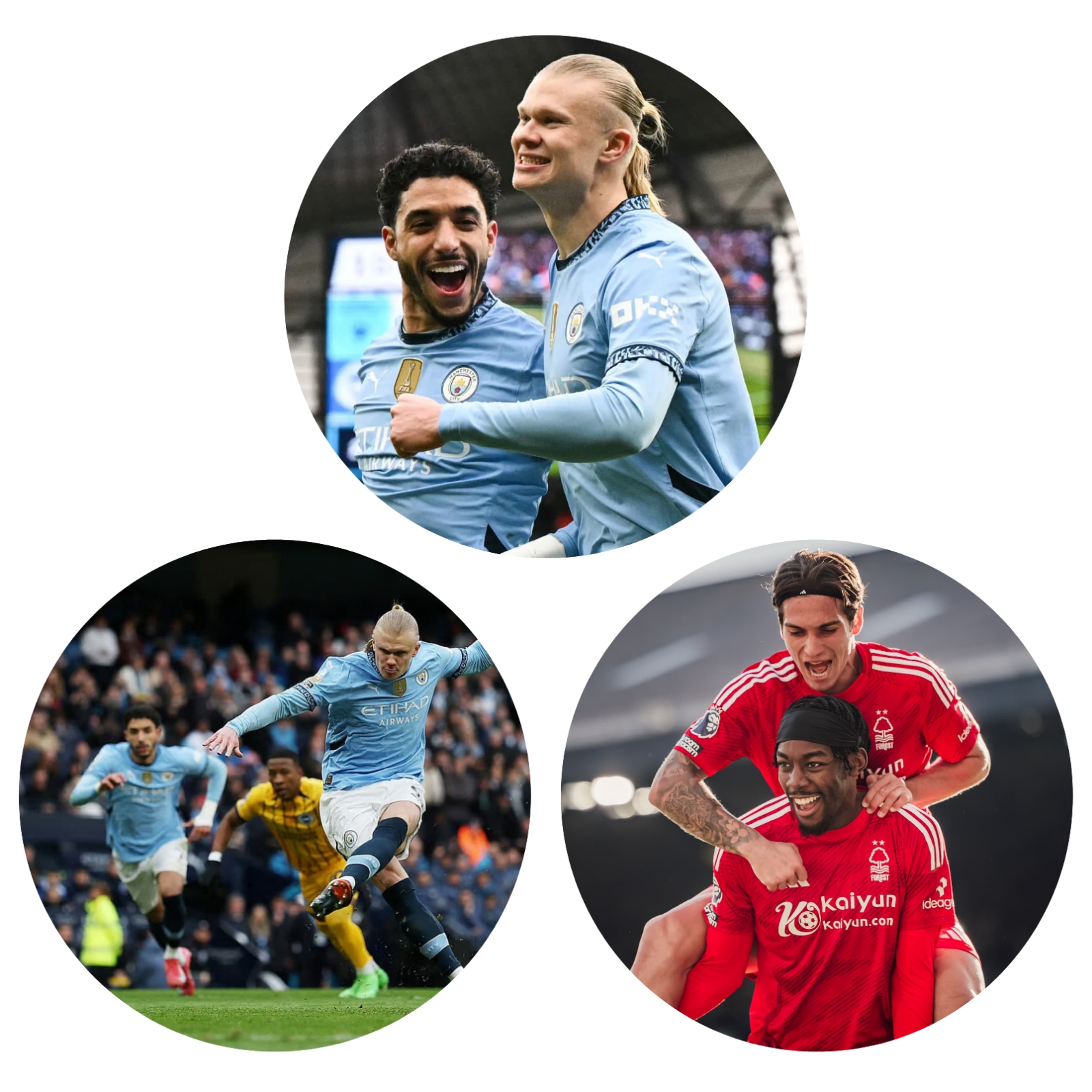 photocollage_202531611501993