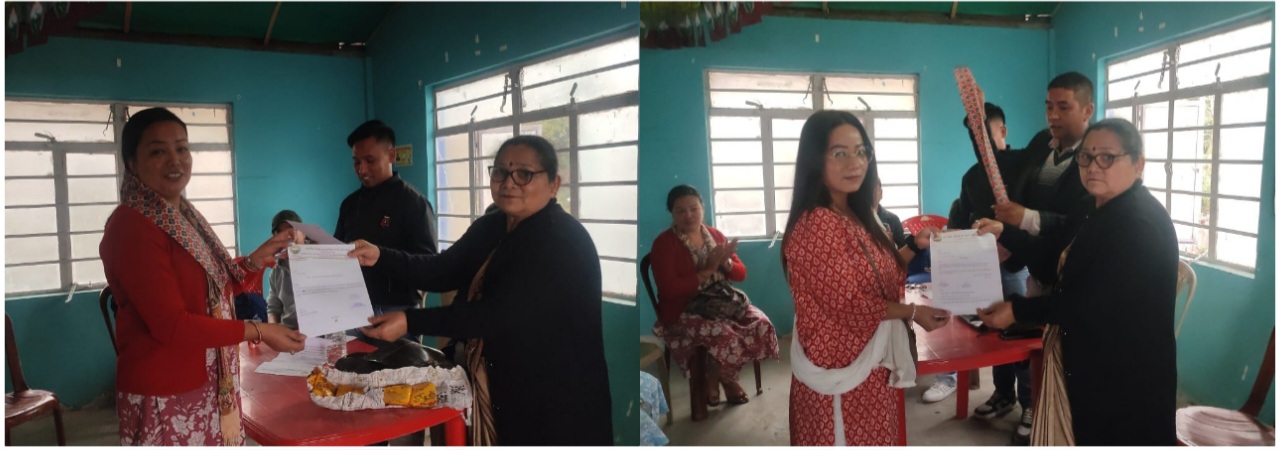 photocollage_2025316195252440