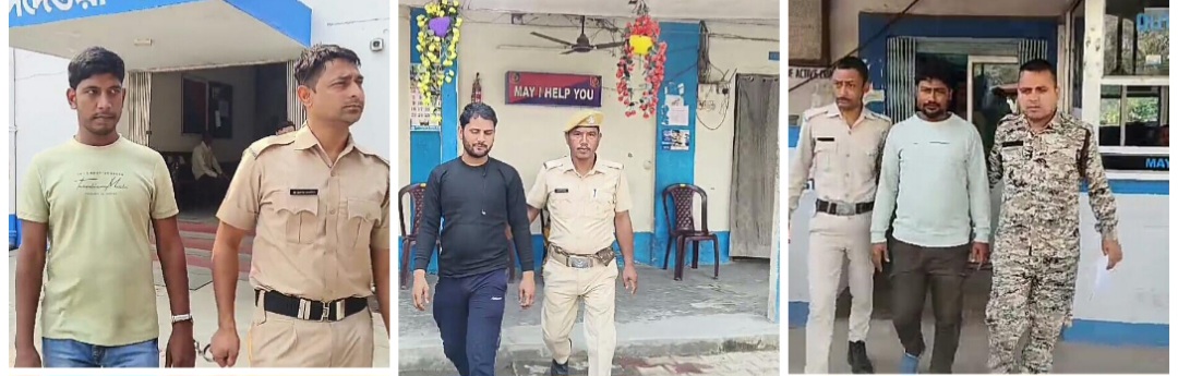 photocollage_202531919266234