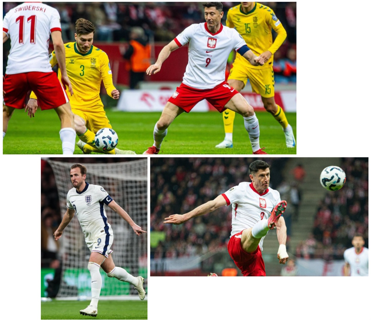 photocollage_2025322124658363