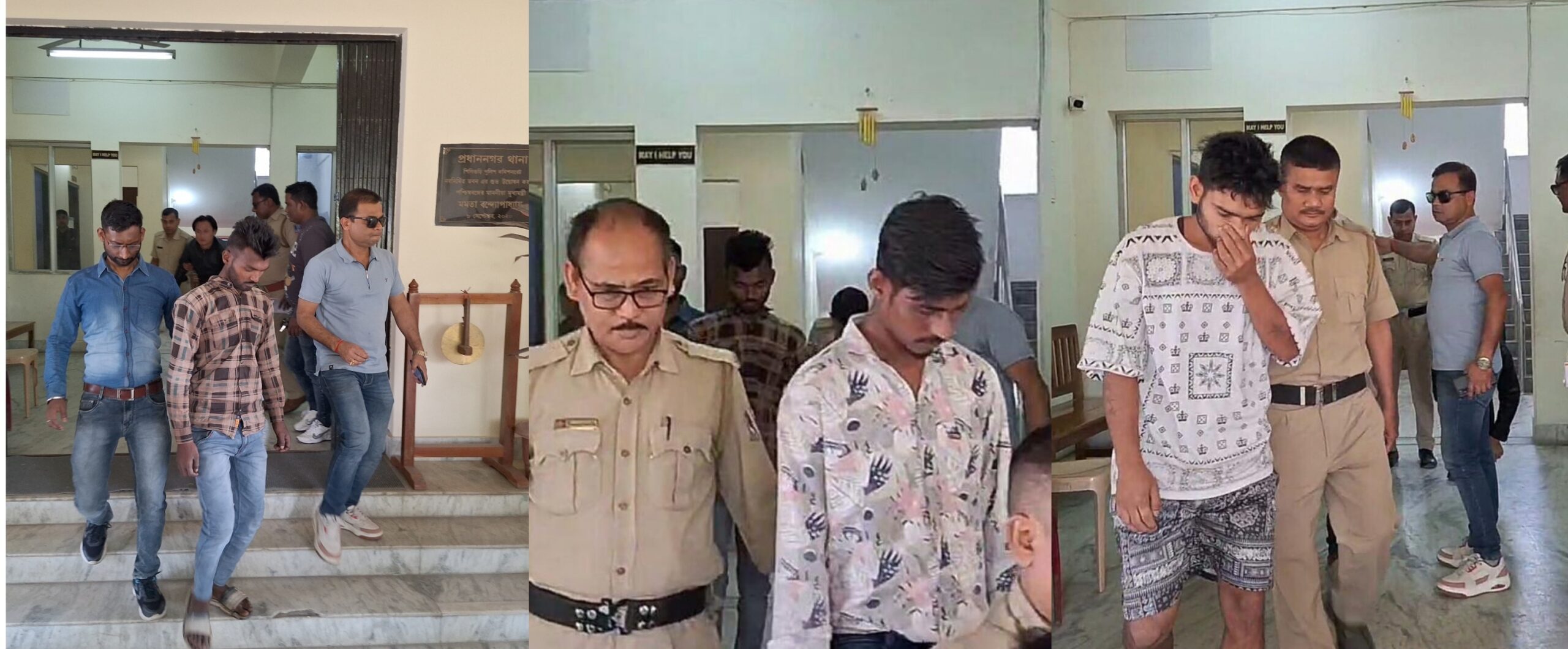 photocollage_202532418836941