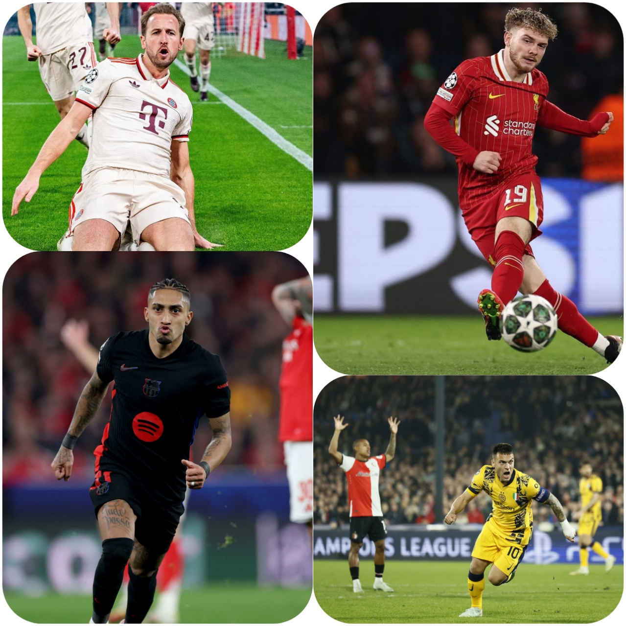 photocollage_20253611508642