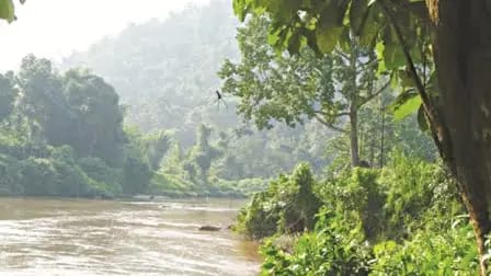 IMG-20250420-WA0266(1)