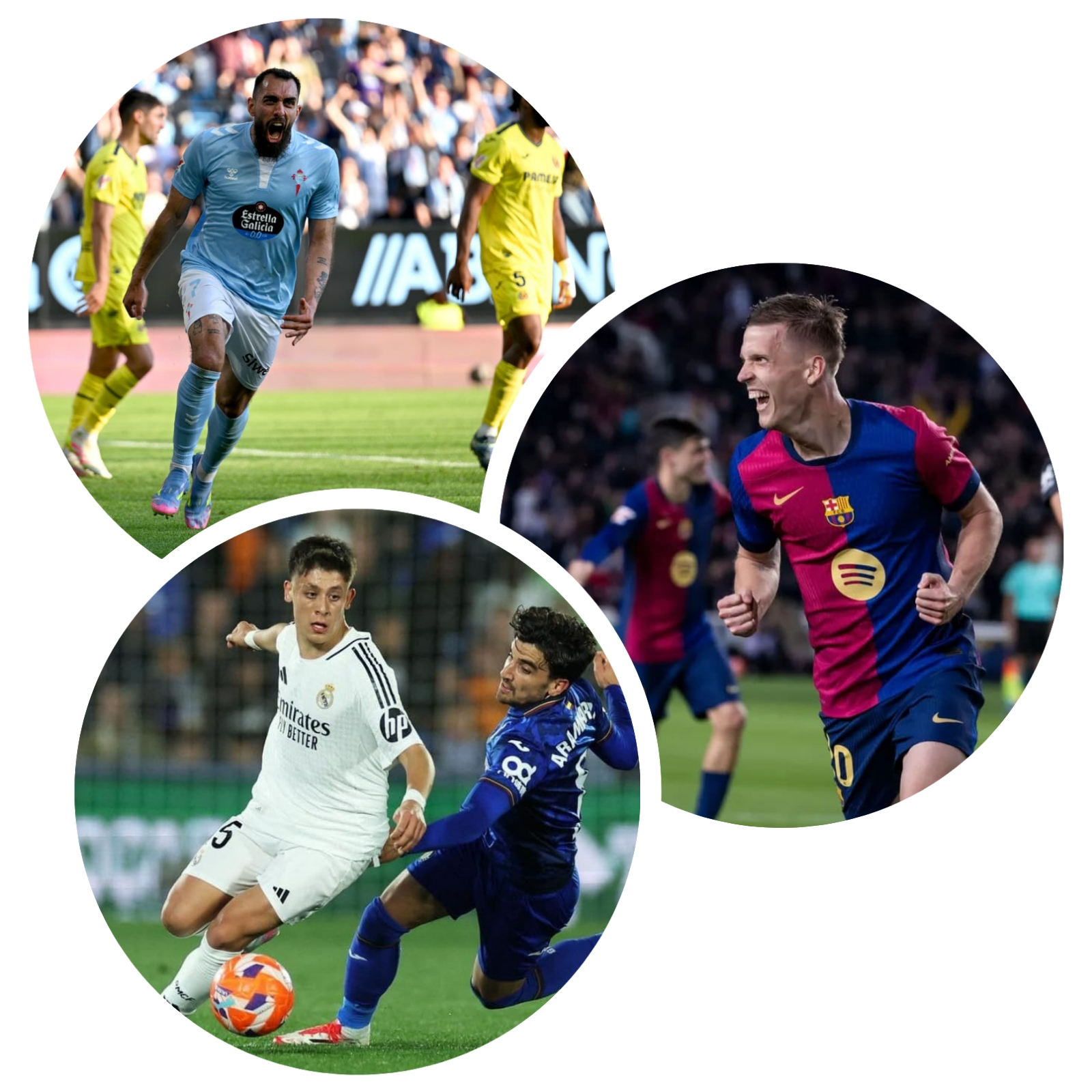 photocollage_202542412224332