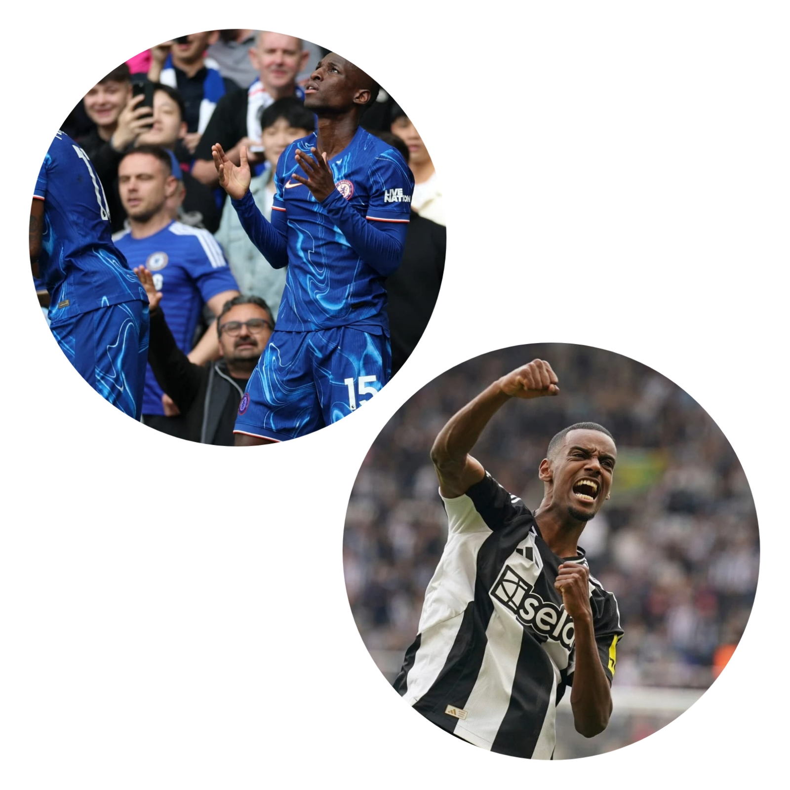 photocollage_202542711181594