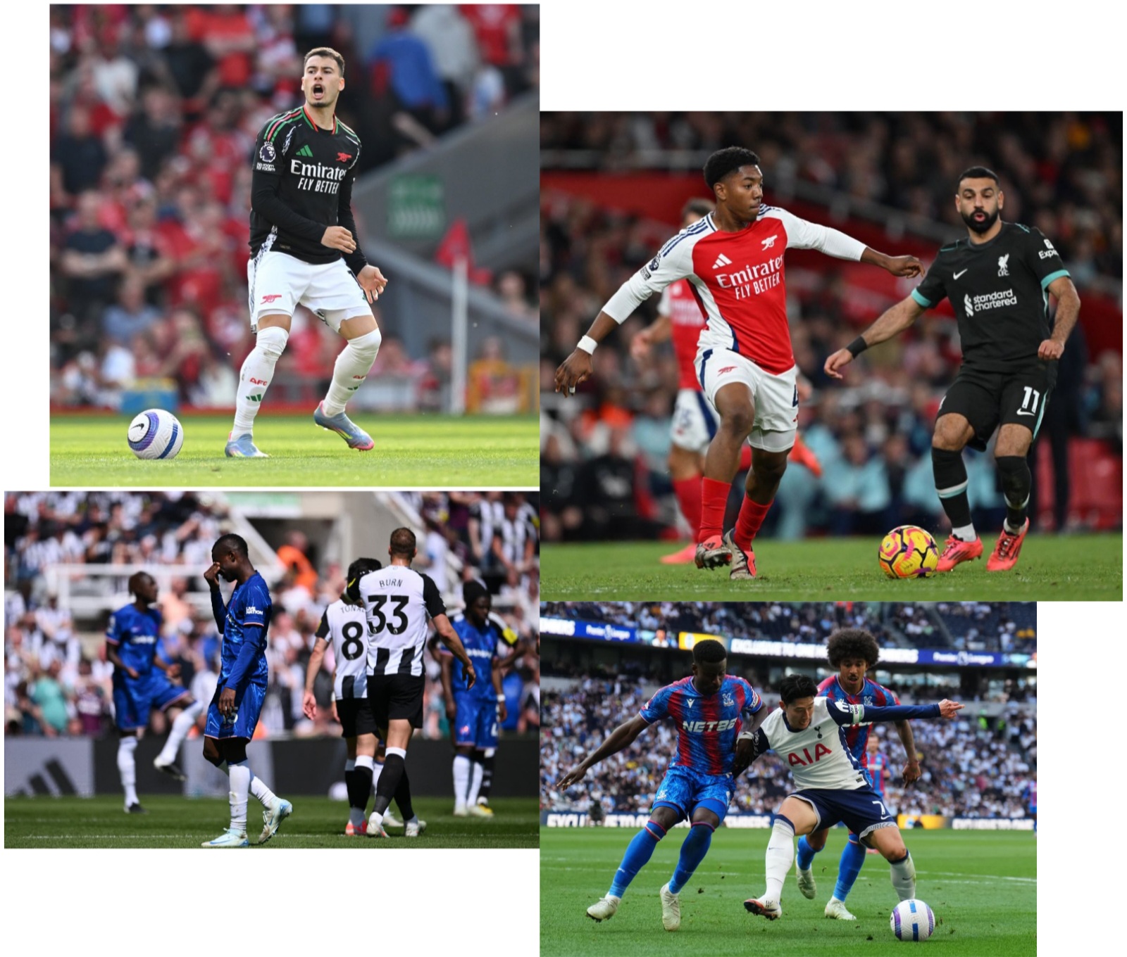 photocollage_202551212851266