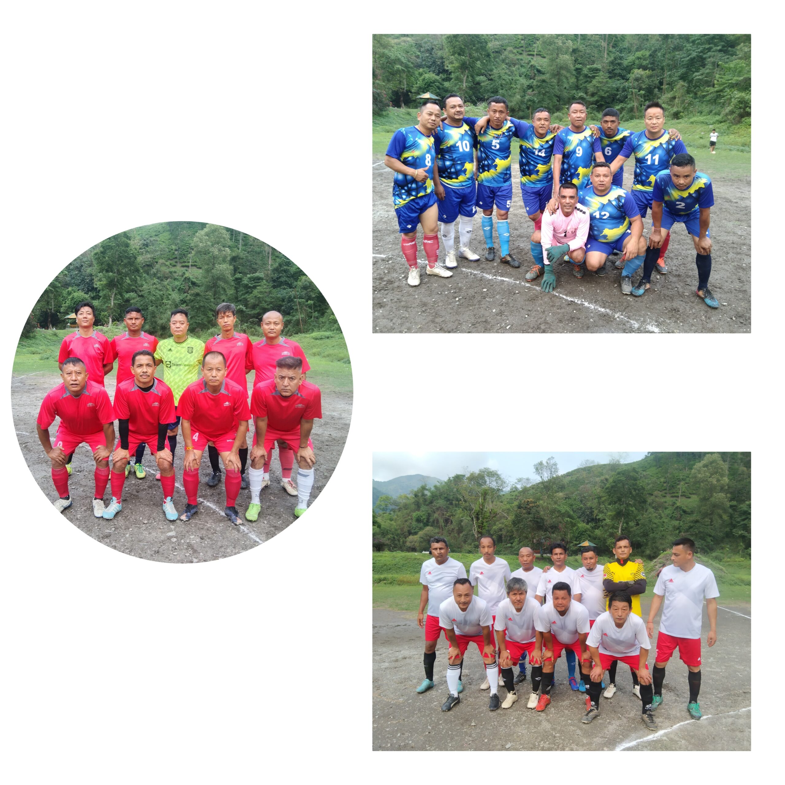 photocollage_2025518215842315