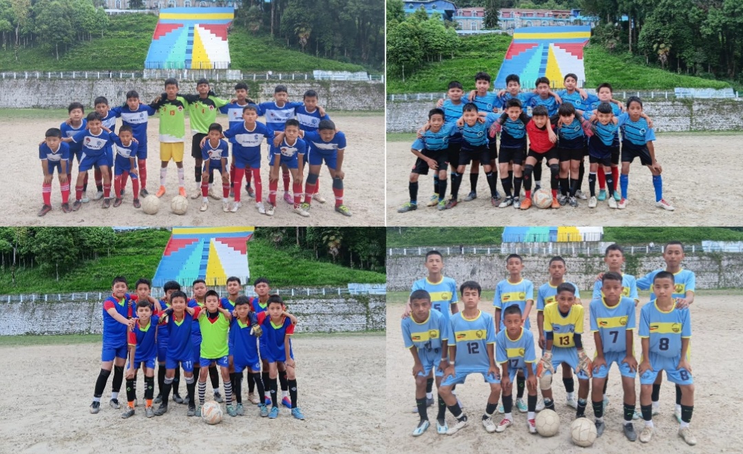 photocollage_202552817942637