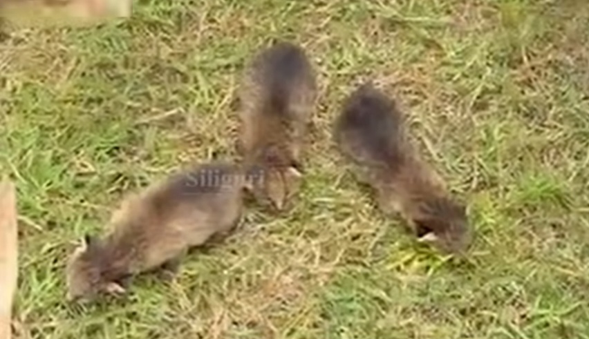 Screenshot_20250616_165949_Instagram