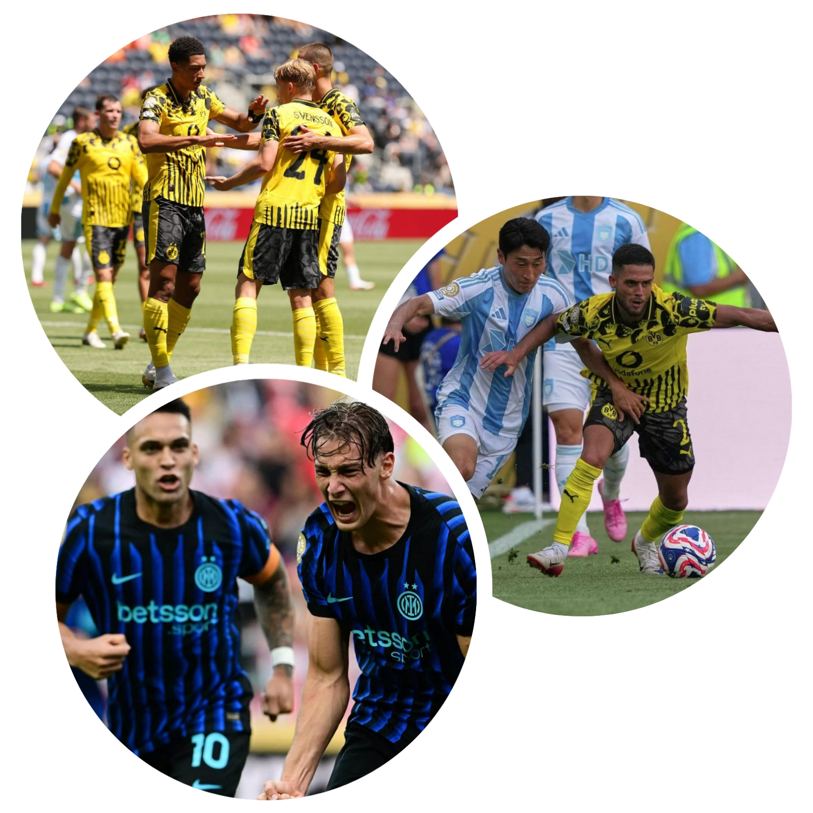 photocollage_2025626134314221