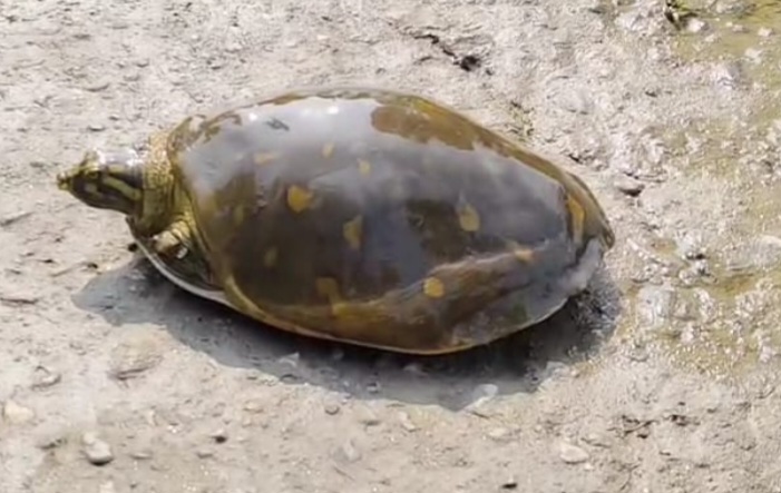 Screenshot_20250723_181353_Facebook