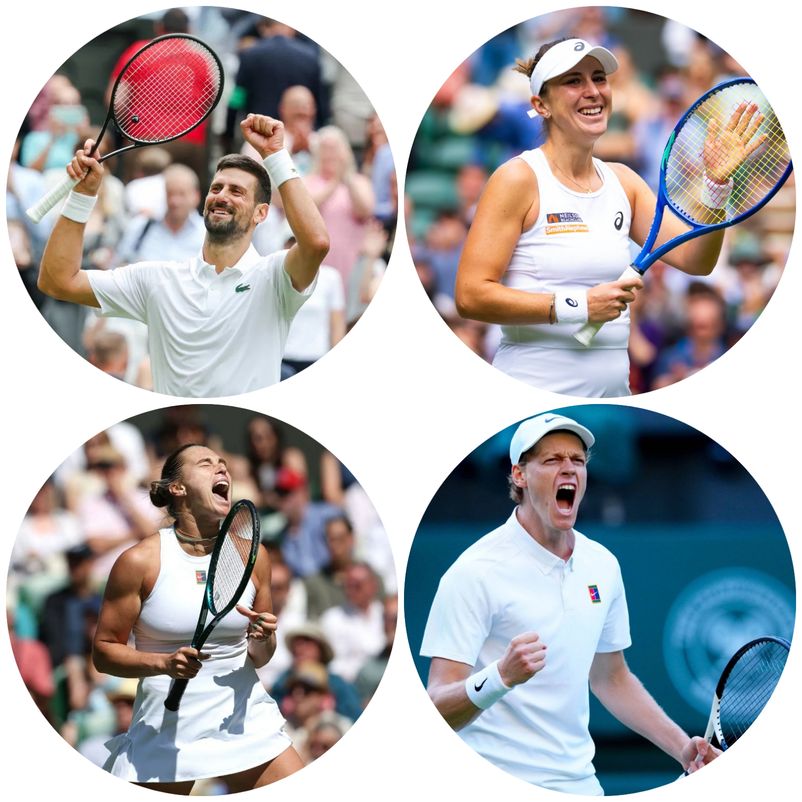 photocollage_202571015757269