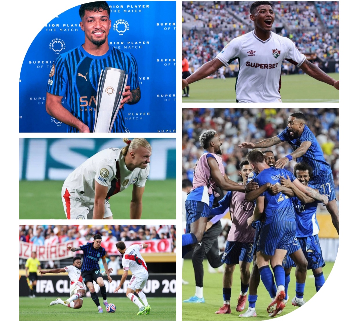 photocollage_20257113538565