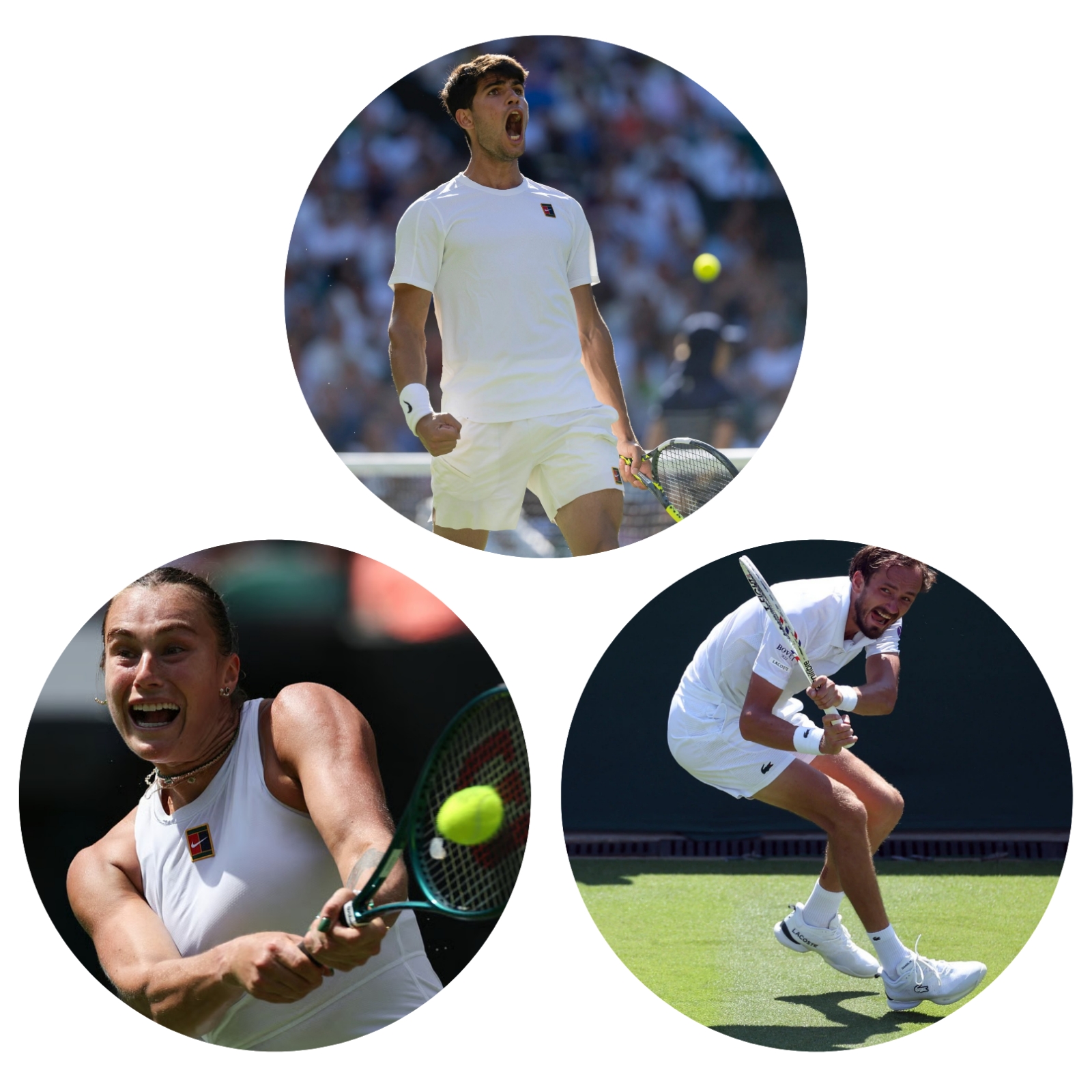 photocollage_202571135746897