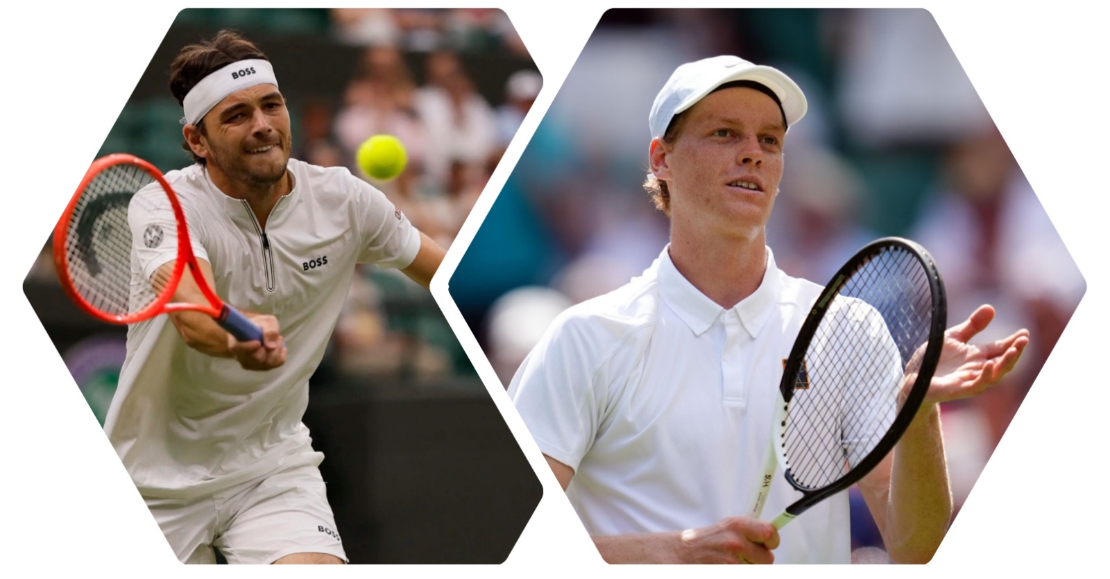 photocollage_202572124619808