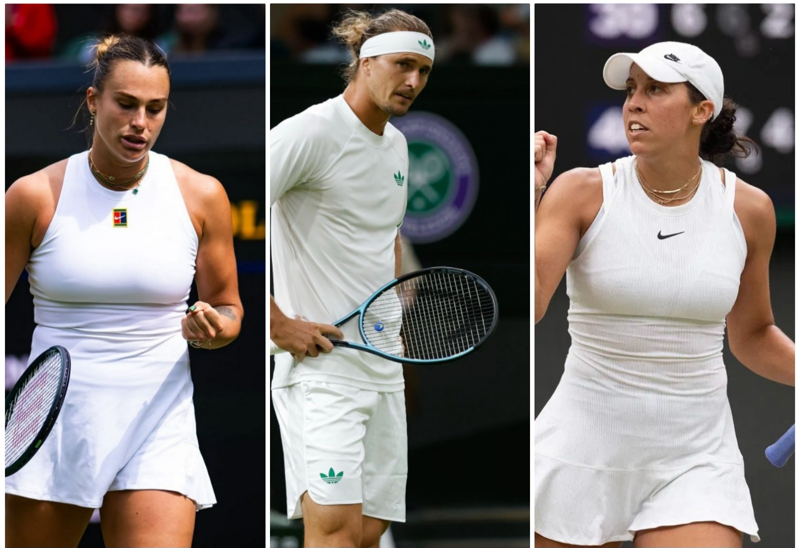 photocollage_202573135310199