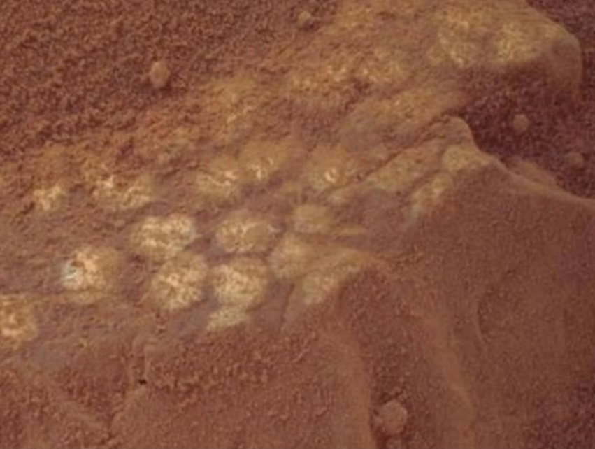 dinosaur-eggs-on-mars