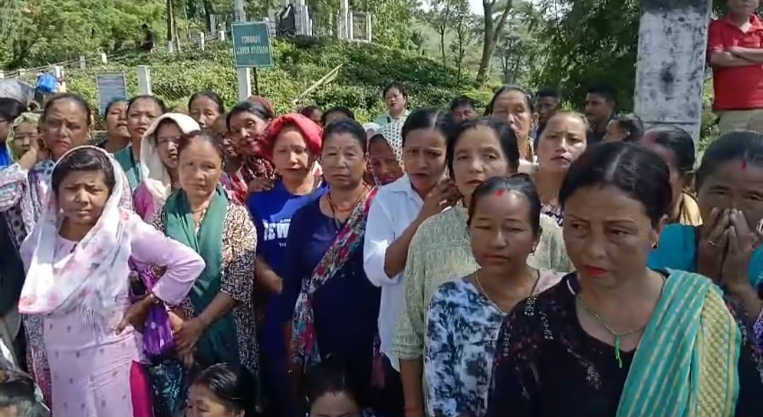 IMG-20250905-WA0126 IMG-20250905-WA0126