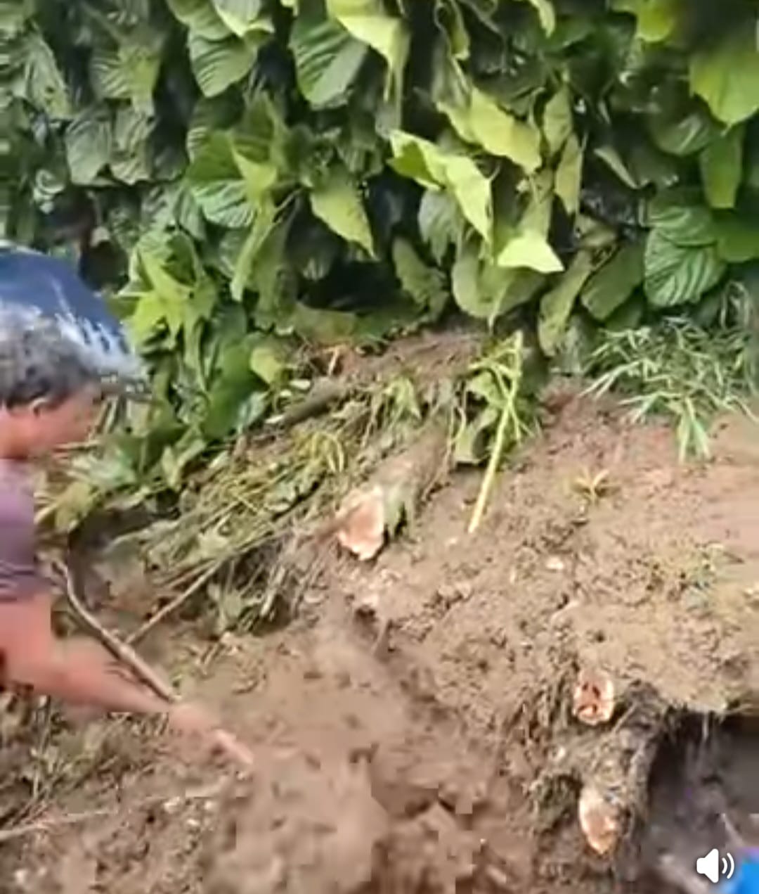 IMG-20250910-WA0134 IMG-20250910-WA0134