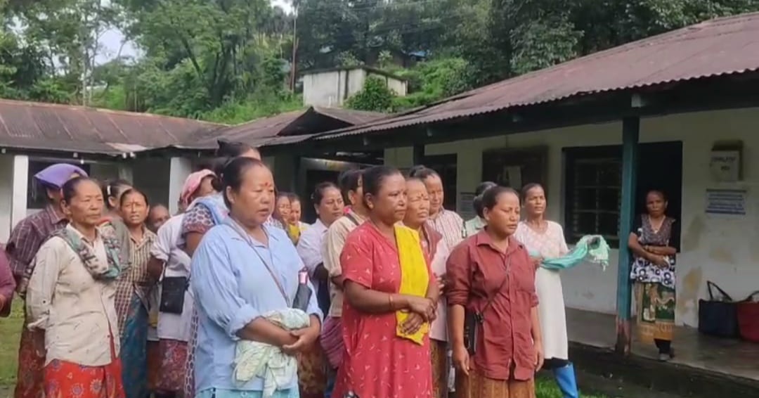 IMG-20250911-WA0115 IMG-20250911-WA0115