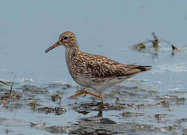 IMG-20250912-WA0019 IMG-20250912-WA0019