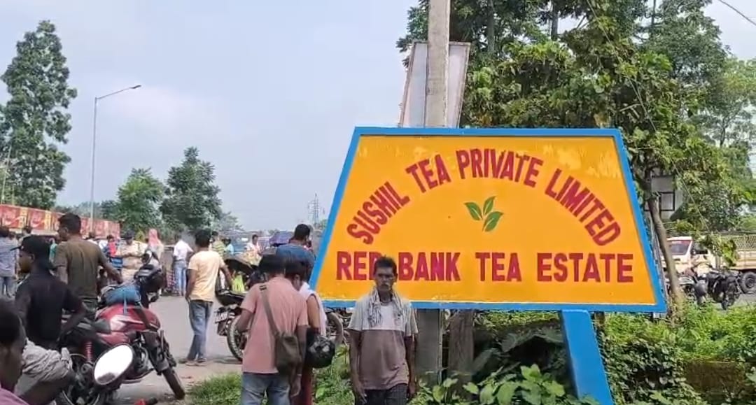 IMG-20250913-WA0104 IMG-20250913-WA0104