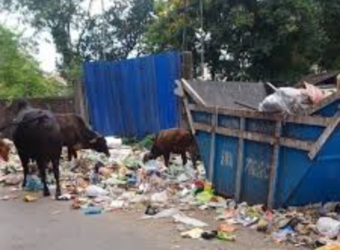 Screenshot_20250913_184230_Google Screenshot_20250913_184230_Google