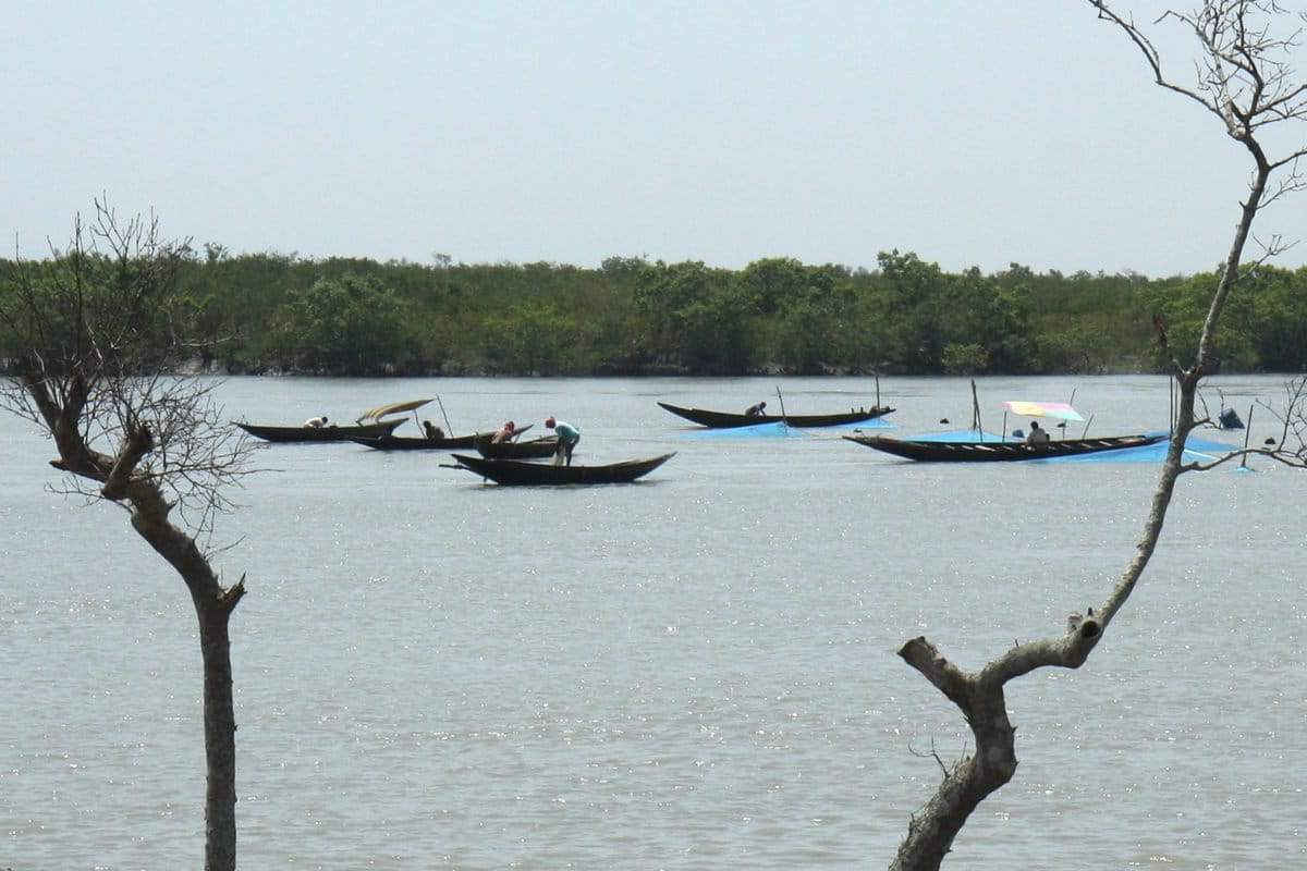 Sundarban-fishing-in-river-2-photo-Snigdhendu-Bhattacharya-1200x800