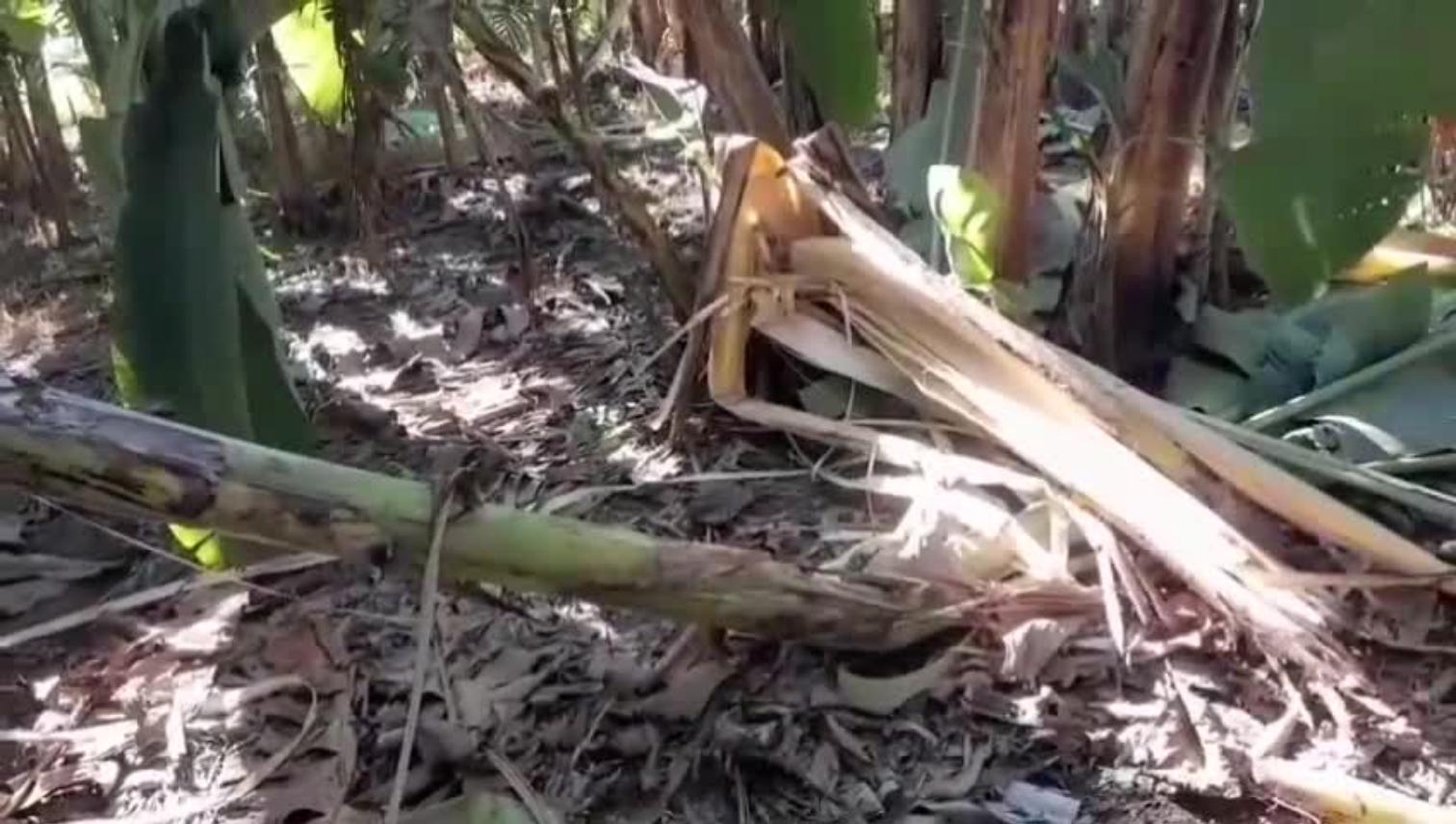 img_1758895525878_382