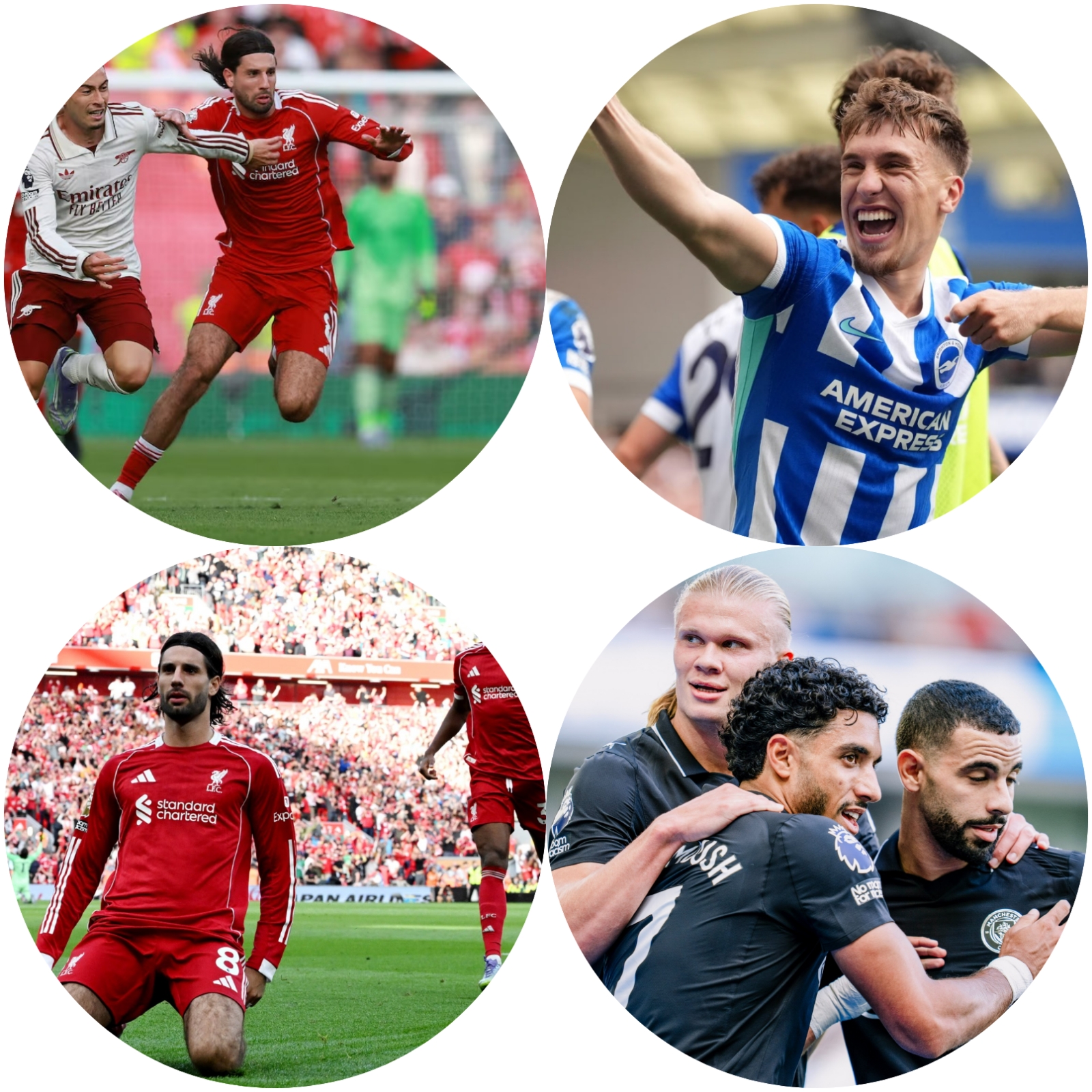 photocollage_202591133639289