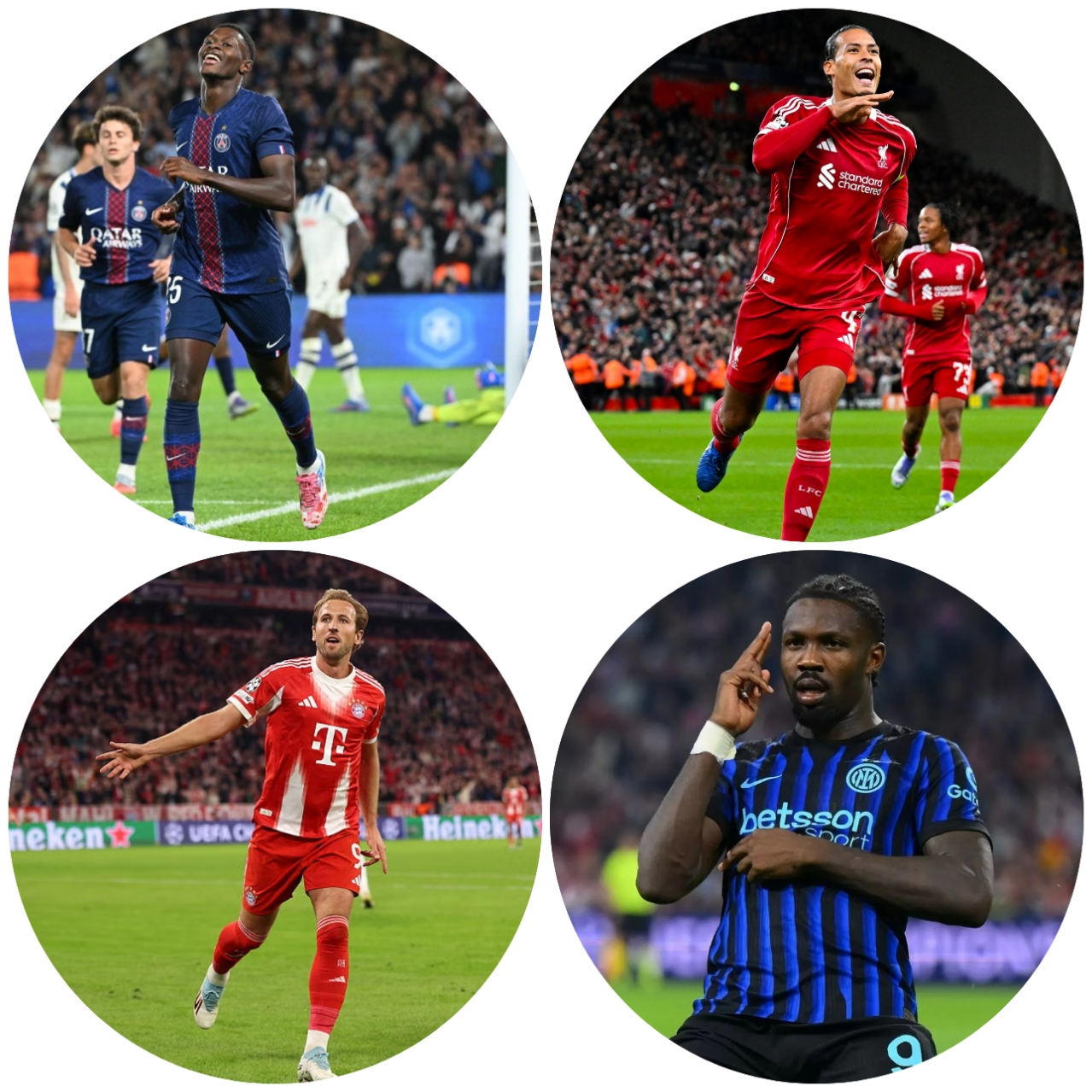 photocollage_2025918124248348