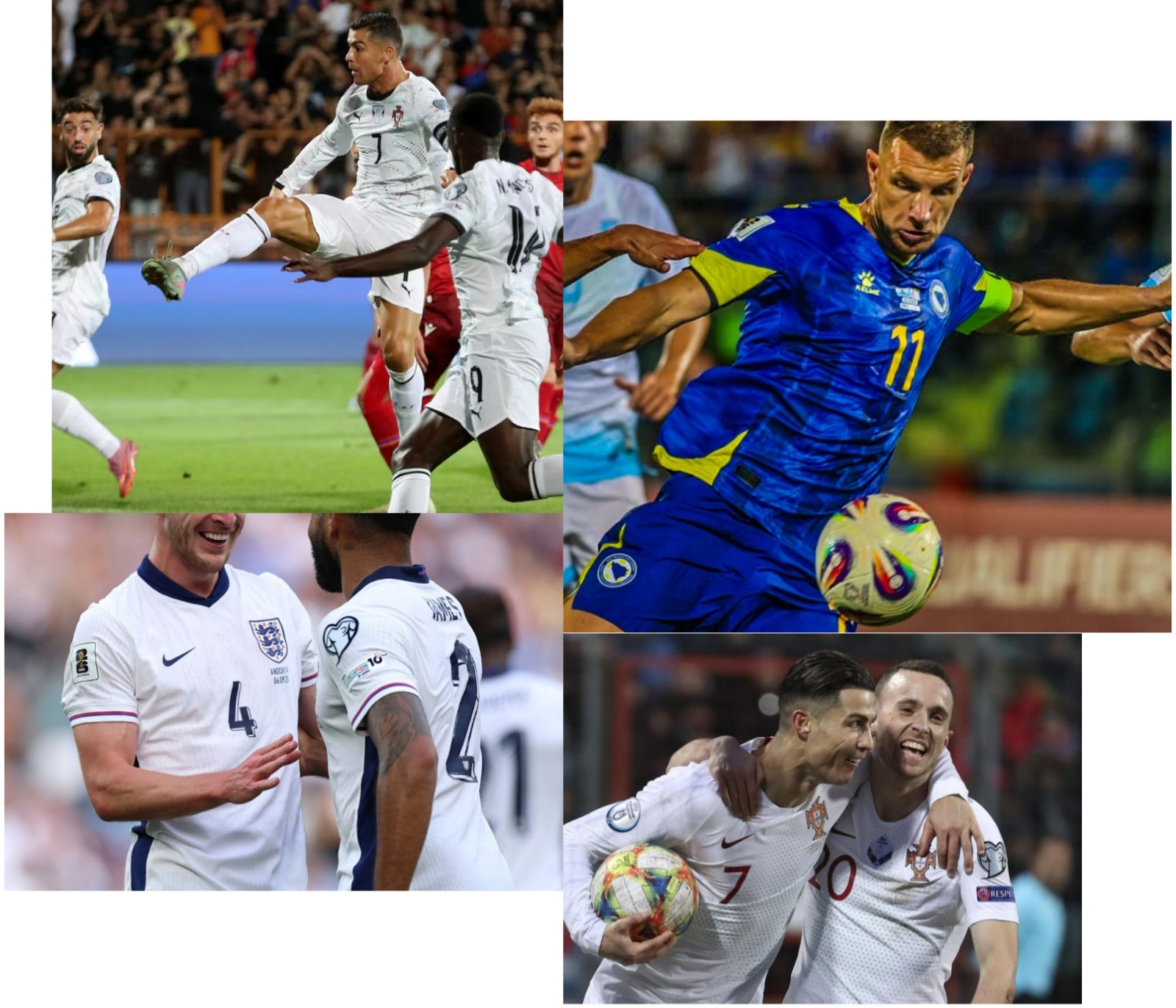 photocollage_202597161016594 photocollage_202597161016594