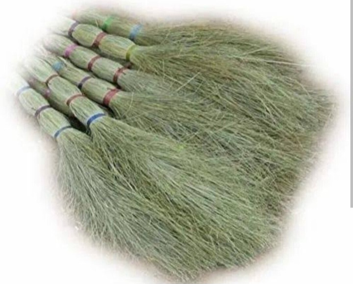 6-date-palm-broom-bengal-hubs-original-imahcfhv8cub55mb
