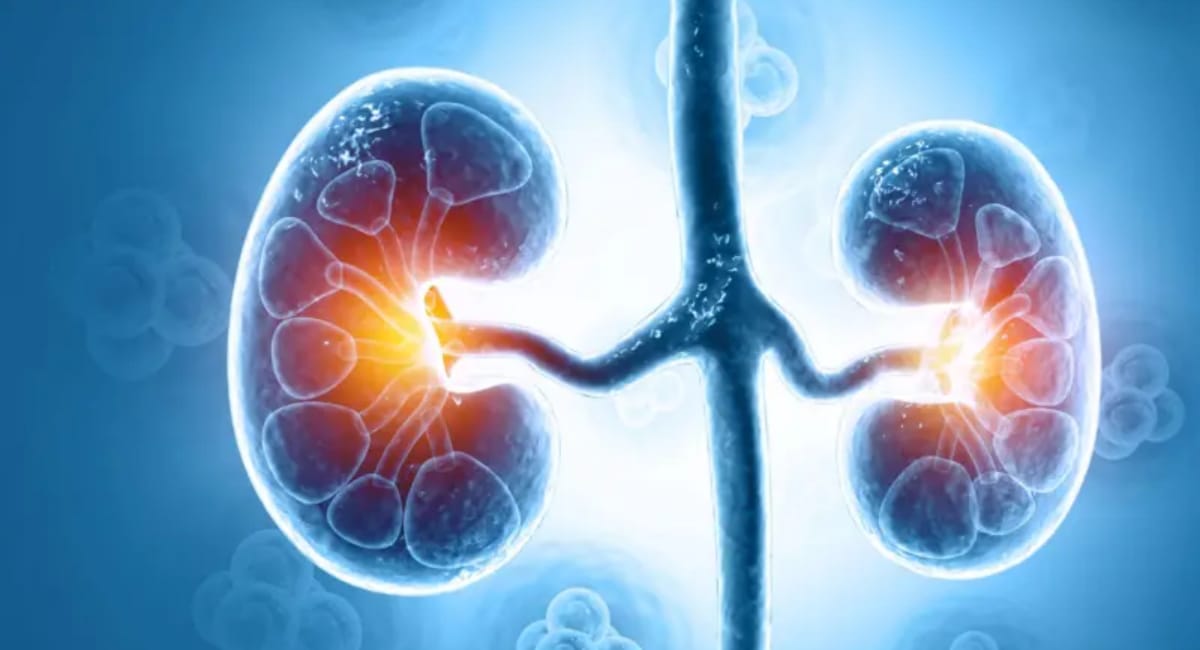 IMG-20251020-WA0008 IMG-20251020-WA0008