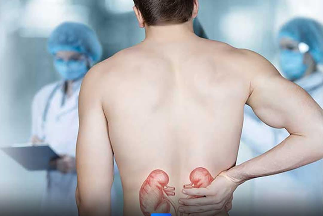 IMG-20251022-WA0066 IMG-20251022-WA0066