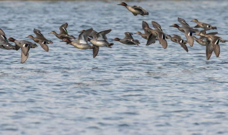 IMG-20251026-WA0009 IMG-20251026-WA0009