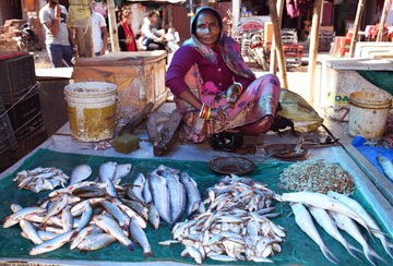 siliguri-india-4th-jan-2020-260nw-1634202595