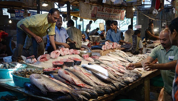 fish-market