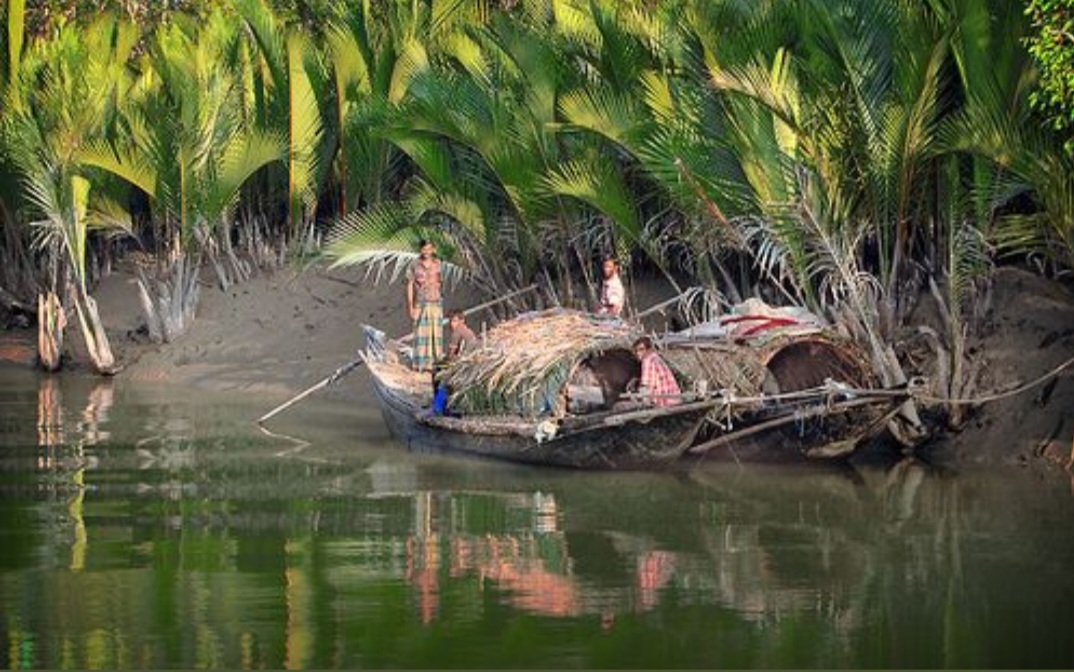 Screenshot_20260213_143001_Chrome