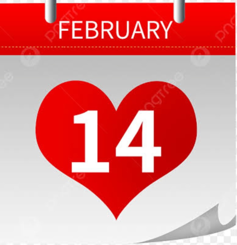 Screenshot_20260214_003029_Google