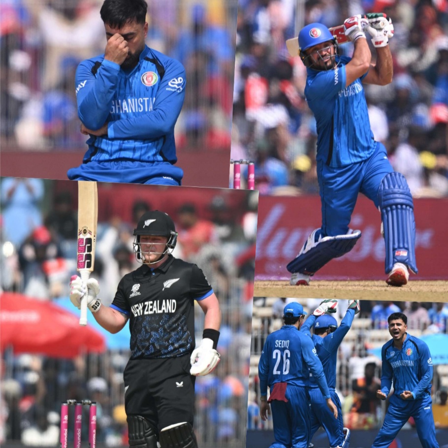 photocollage_20262816546758