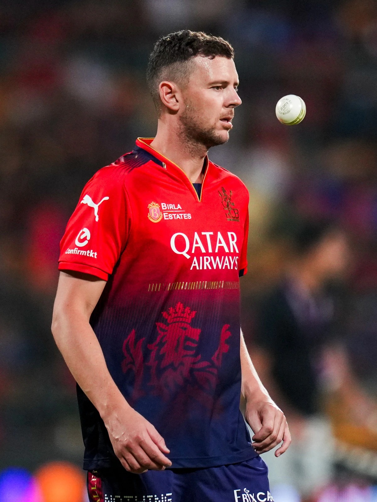 हेजलवुडको चोटले आरसीबी चिन्तित