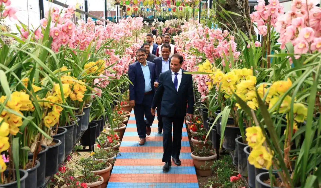 n70387925717730792664627ccbf37a4dbf8090223587a0ba267e3924f8b2e415c31fa4737dae09097d2117