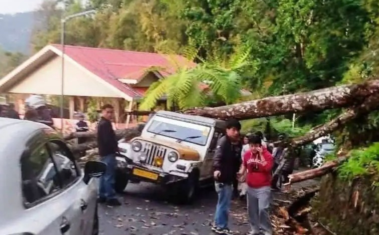 n70466535817735931216777f28c4dbd15523fe1f7cee655f839caac74bc0164ef9e707219c670411136e40